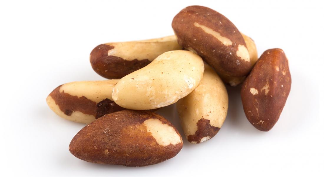 we source and supply brazil nuts